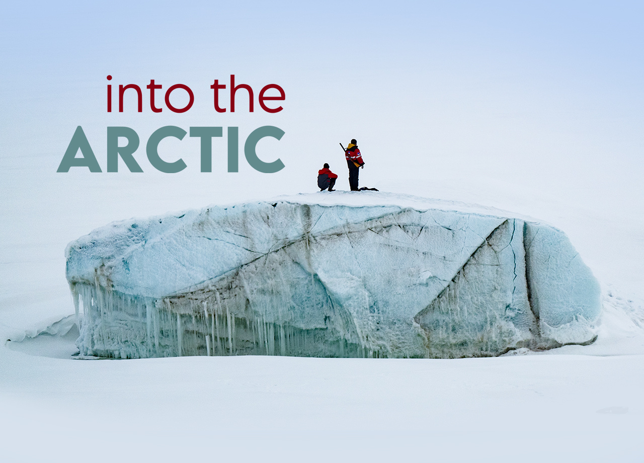 INTO THE ARCTIC